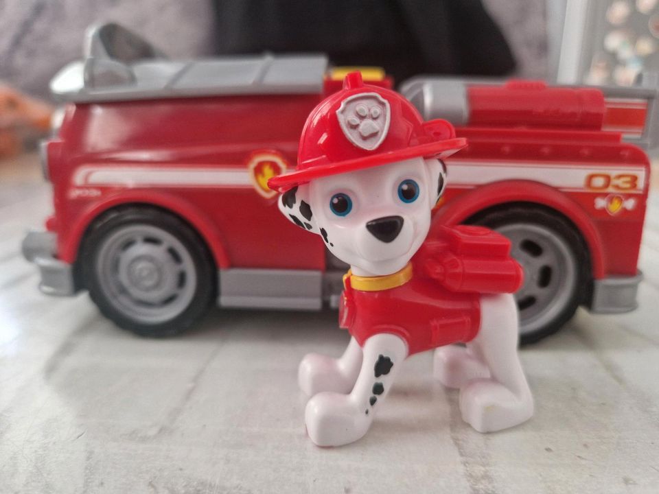 Paw Patrol Marshall in Thüngersheim