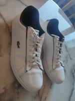 Lacoste Schuhe 47 Hessen - Groß-Gerau Vorschau