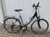 PEGASUS PREMIO SL Damen Fahrrad 50cm Essen-Borbeck - Essen-Vogelheim Vorschau