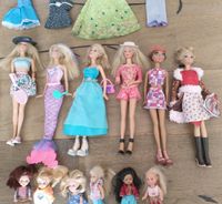 Sechs Barbies inklusive Zubehör zu verkaufen Niedersachsen - Delmenhorst Vorschau
