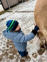 Suche Pflegebeteilugung an Pony für meine Kinder Nordrhein-Westfalen - Enger Vorschau