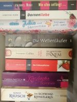 BÜCHER, ROMANE, THRILLER, WIE NEU Nordrhein-Westfalen - Oelde Vorschau