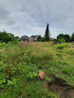 Garten Sanierung ob UMKEHRFRÄSEn planieren neusaat o. Rollrasen Niedersachsen - Harpstedt Vorschau