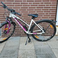 Fahrrad, Mädchenrad, Bulls Nordrhein-Westfalen - Südlohn Vorschau