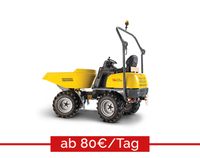 MIETEN Wacker Neuson 1501 1,5t Dumper Radlader Leihen Bagger Berlin - Pankow Vorschau