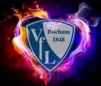 Suche eine Stehkarte, für VfL gegen Leverkusen ! Bochum - Bochum-Mitte Vorschau
