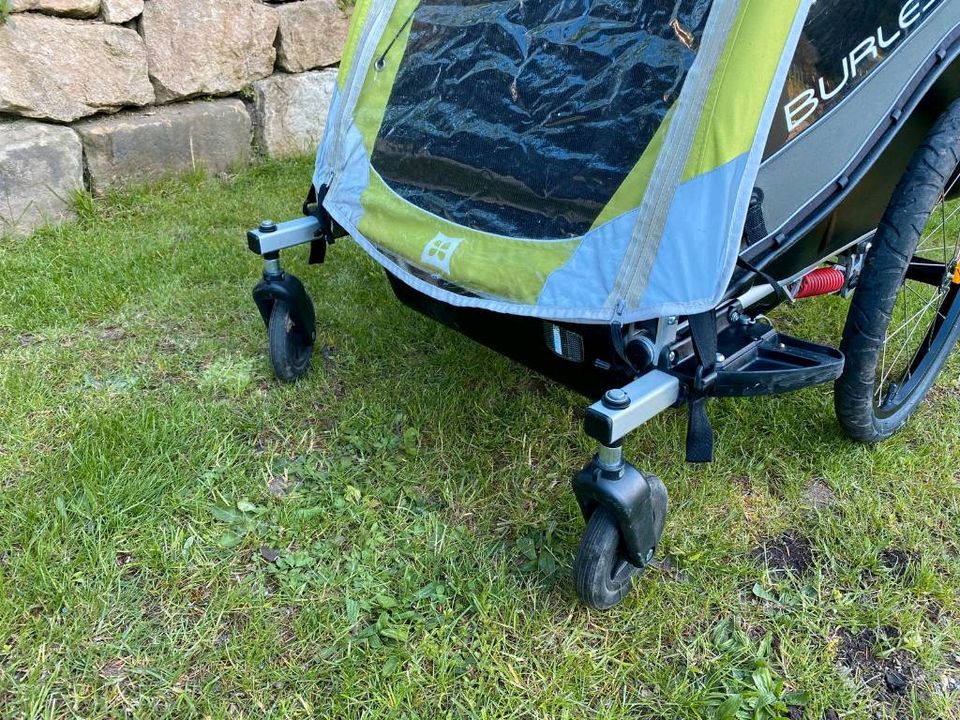 Fahrradanhänger BURLEY Cub, 2-Sitzer, grün-grau in Dippoldiswalde