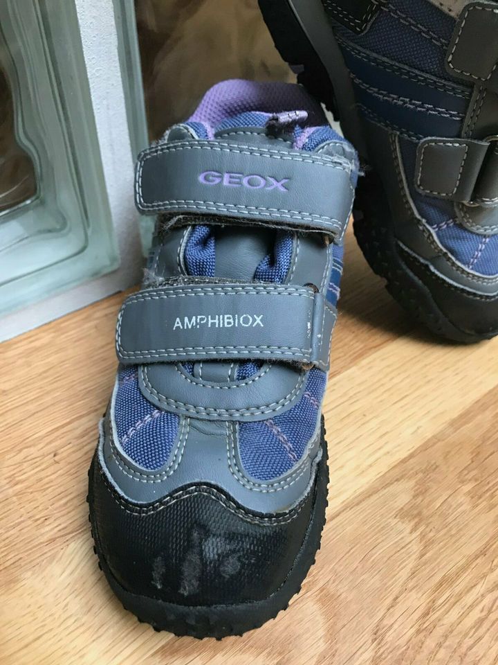 Geox: Amphibiox Schuhe Mädchen / Gr. 31 / blau grau in Dresden