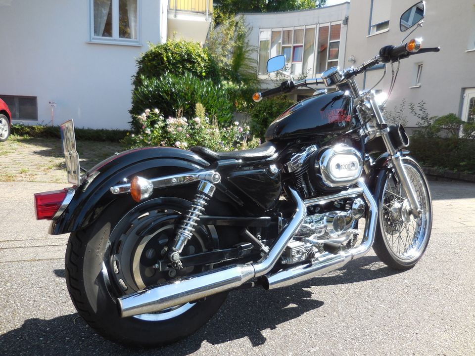 Harley Davidson 1200 Sportster, Motorrad, 1200er Sporty in Gengenbach