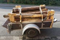 Suche Brennholz Restholz Baumbruch Feuerholz Nordrhein-Westfalen - Goch Vorschau