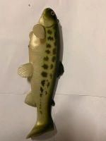 Castaic Swimbait 25cm slow sinking 25cm Mexiko Bayern - Lenggries Vorschau