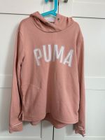 Puma Hoodie Kapuzenpullover Gr.146 Leipzig - Holzhausen Vorschau