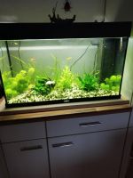 Aquarium mit Innenfilter 120l Niedersachsen - Uplengen Vorschau