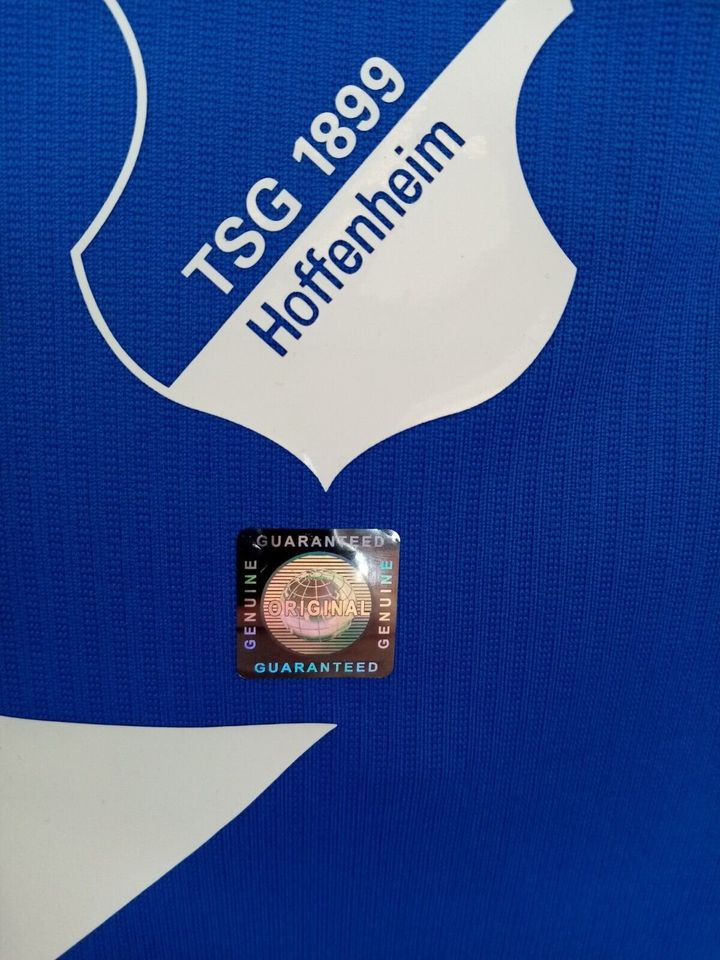 1899 Hoffenheim Trikot 18/19 Teamsigniert Autogramm COA Lotto M in Lünen