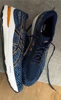 Asics Ortholite Gel-Glyde 4 Gr.47 Niedersachsen - Oldenburg Vorschau