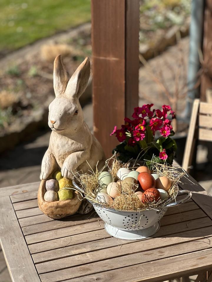 UPDATE Die Küken sind da, Blumi‘s und Eastereggs in Erfurt