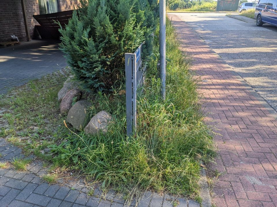 Gartenarbeit (Stutzen/Schneiden/Pflege) in Neumünster