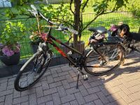 KTM Damen-Trekkingrad Niedersachsen - Leer (Ostfriesland) Vorschau