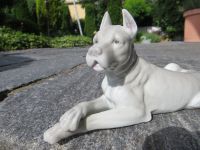 Heubach Hund Dogge Porzellanfigur gemarkt ! Bayern - Kaufbeuren Vorschau