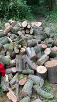 Brennholz zu verkaufen Mecklenburg-Vorpommern - Loissin Vorschau