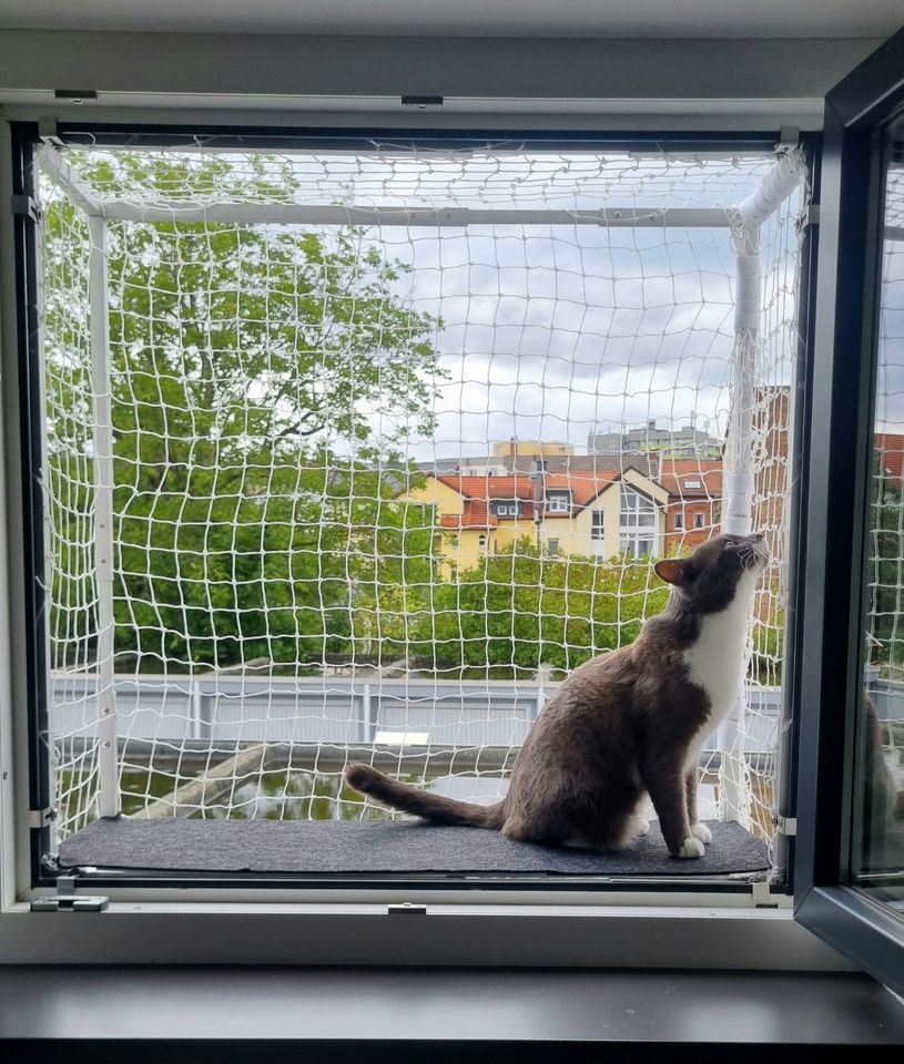 Verstellbarer Katzenbalkon für Fensteröffnungen in Hanau