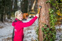 Baumpflege, Baumfällung , Haus , Baum, Garten Brandenburg - Groß Kreutz Vorschau