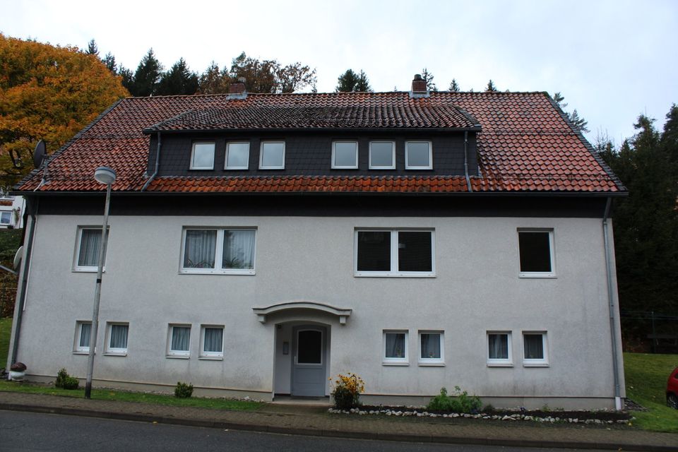 Renovierte 3 Zimmer Wohnung im 1. OG in Altenau in Altenau