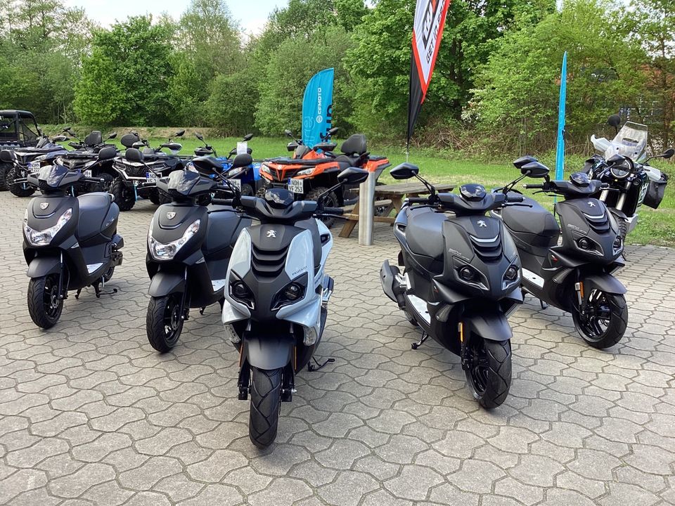 Suzuki Address 125 Vorführer 23 in Nordhorn