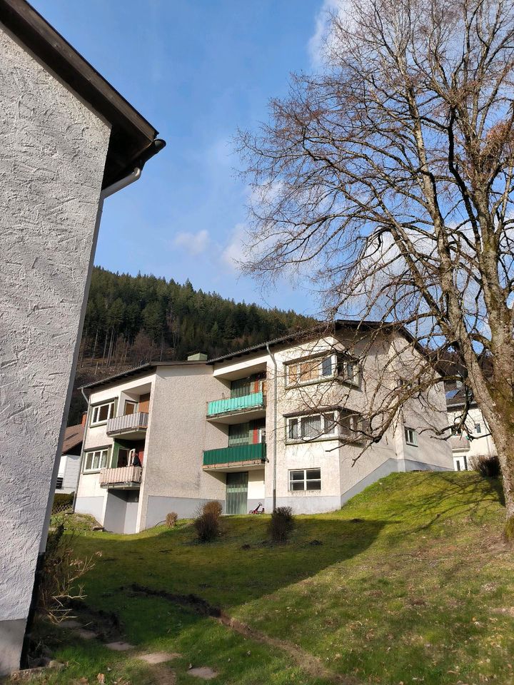 Wohnung 3 Zimmer 600€ Kalt in Schönau (Schwarzwald)