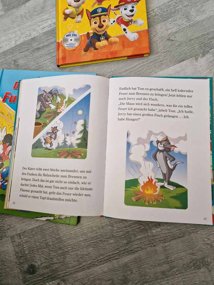 Jungen Bücher Disney Tom&Jerry Paw Patrol wie neu in Dingolfing