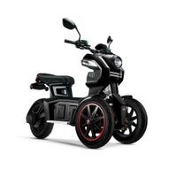 Doohan iTank 45k m/h  Elektroroller -Scooter- Dreirad ab 2299.- Kiel - Schreventeich-Hasseldieksdamm Vorschau