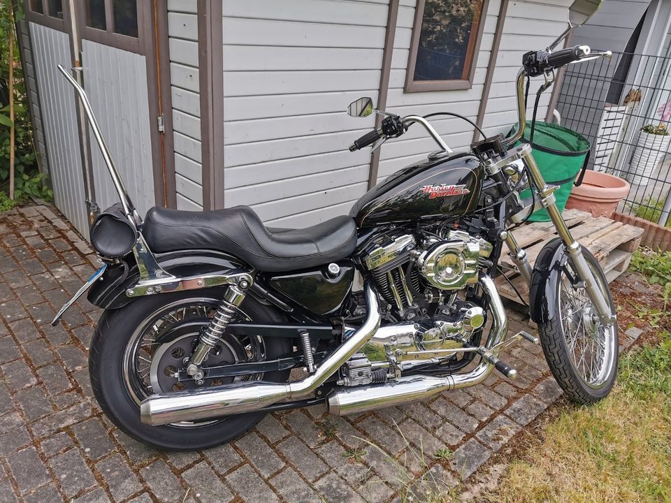 Wunderschöne Harley Davidson Sporty 1200XL in Köln