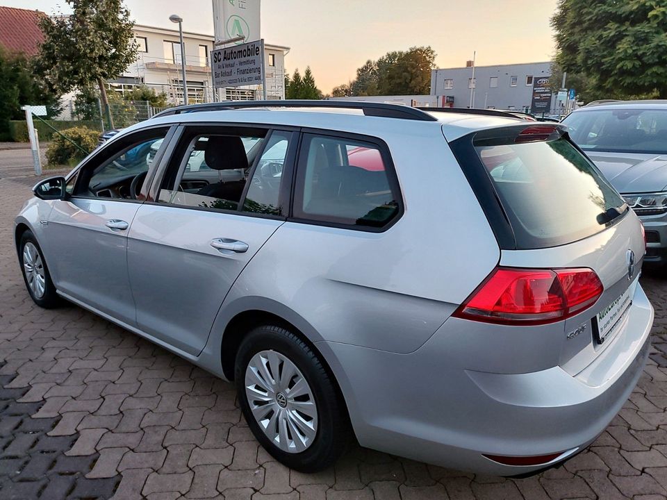 Volkswagen Golf VII Variant 1,6 TDI BlueMotion in Wolfenbüttel