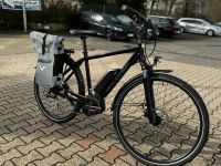 Raleigh Stoker LTD, Bosch e Bike, e Trekking Pedelec Nordrhein-Westfalen - Hennef (Sieg) Vorschau