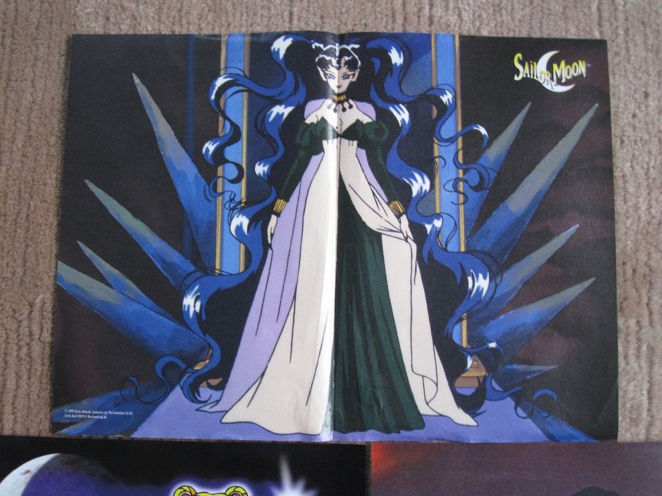 Sailor Moon Poster-Sammlung in Rehlingen-Siersburg