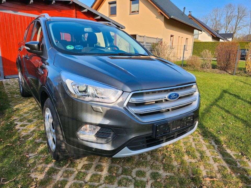 Ford Kuga Cool & Connect 1,5 4x2 Winter-Paket. Parkassistent..... in Grabowhöfe