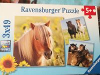 Pferde Puzzle 3 x 49 Teile Dresden - Briesnitz Vorschau