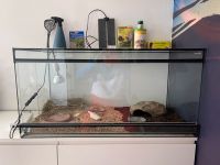 Terrarium komplett ausgestattet Schildkröte für Schlange Reptilen Brandenburg - Lehnitz Vorschau