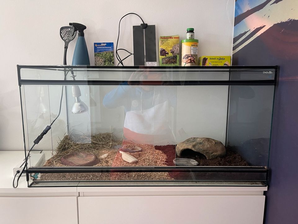 Terrarium komplett ausgestattet Schildkröte für Schlange Reptilen in Lehnitz