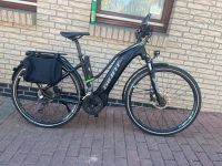 Giant Hybrid 29“ Disc Yamaha Antrieb 30-Gang Deore Schleswig-Holstein - Wilster Vorschau