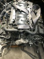 Motor  N62 V8 ohne Anbauteile  BMW 750i E65 E66 367PS Baden-Württemberg - Vaihingen an der Enz Vorschau