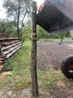 Birnenholz Birnbaum Stamm Drechseln Schnitzen Kunsthandwerk Thüringen - Hohenleuben Vorschau