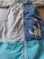 Babyschlafsack zu verkaufen Sachsen - Mülsen Vorschau