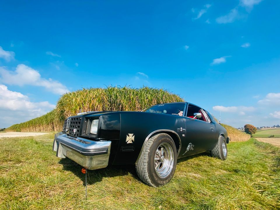 OLDTIMER Oldsmobile 5,0L V8 Auto LIMO US CAR in Schemmerhofen