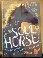 Jugendbuch "Soulhorse" von Ruth Rahlff Niedersachsen - Marklohe Vorschau