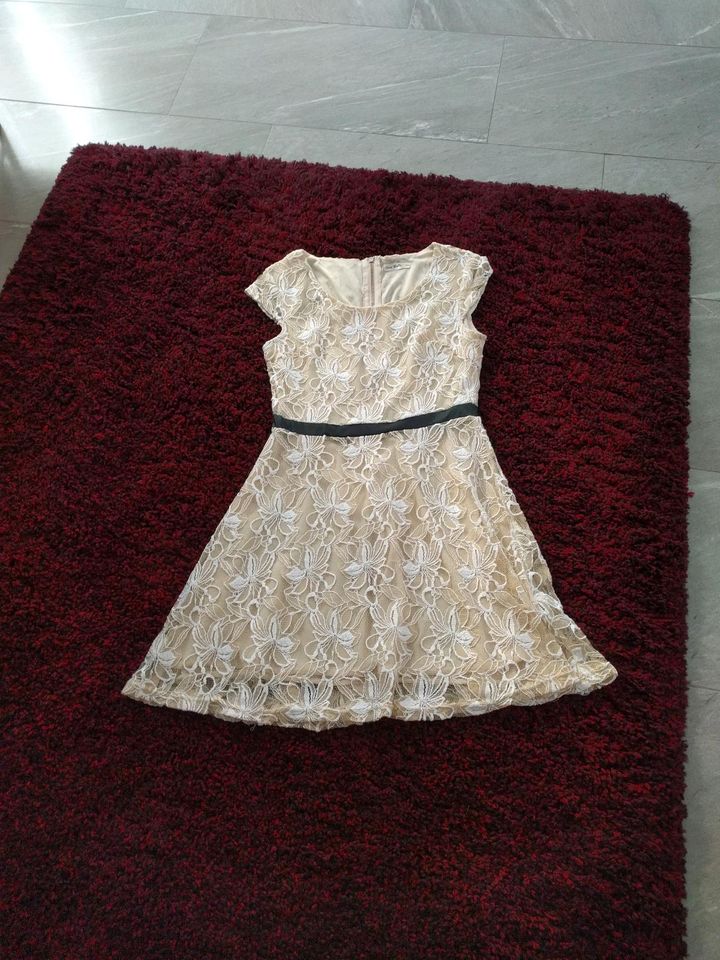 Sommer Kleid Größe 36 von Clao Bella in Ibbenbüren