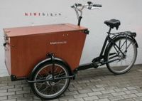 BABBOE CARGO Lastenfahrrad Pro Transporter  RADTRANSPORTER Berlin - Lichtenberg Vorschau