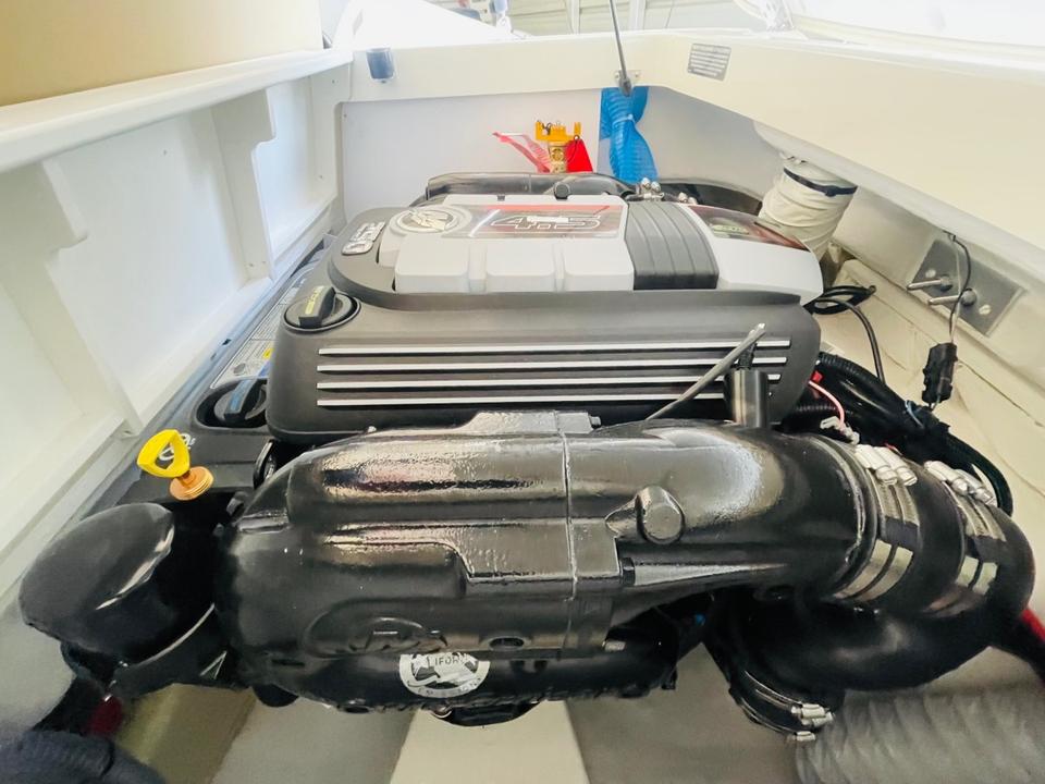✅Sea Ray 190 SPX V6 Mercury 250PS ✅ 2025 ✅SOFORT✅Inzahlungnahme m in Berlin