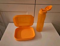 Neu Tupperware kleines Naschkätzchen EcoEasy 750ml Brotdose Brandenburg - Hennigsdorf Vorschau