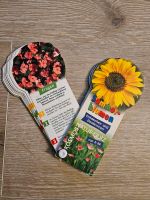 Quiz über Blumen Berlin - Spandau Vorschau
